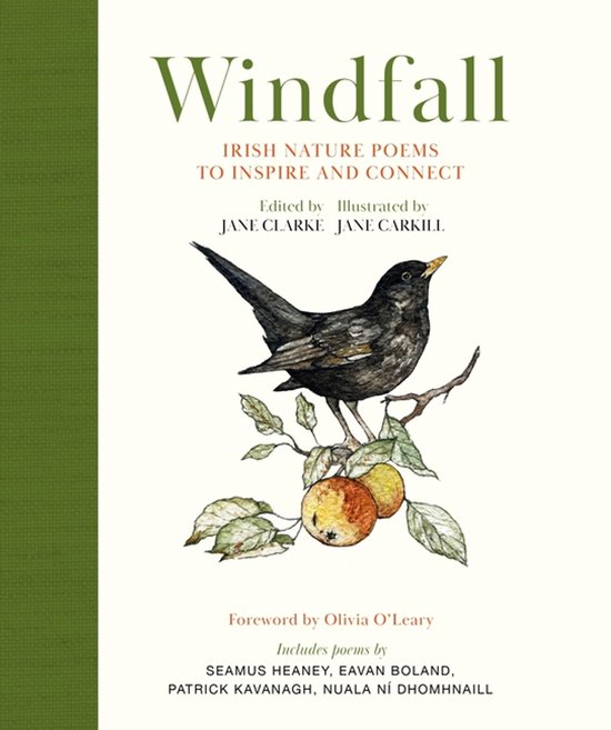 Boek 'Windfall' met een illustratie van een merel op een tak met appels. Ierse natuurgedichten om te inspireren en te verbinden.