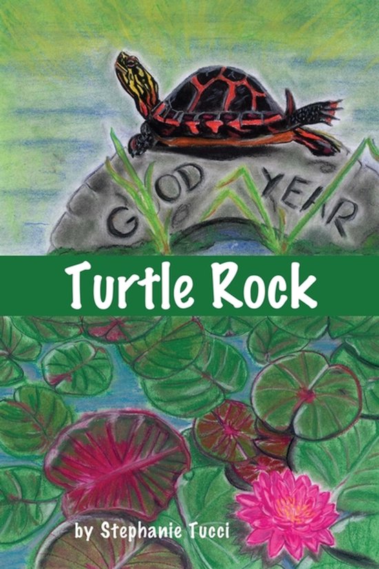 Tucci Turtle Turtle Rock, Stephanie Tucci | 9781630502805 | Boeken | bol