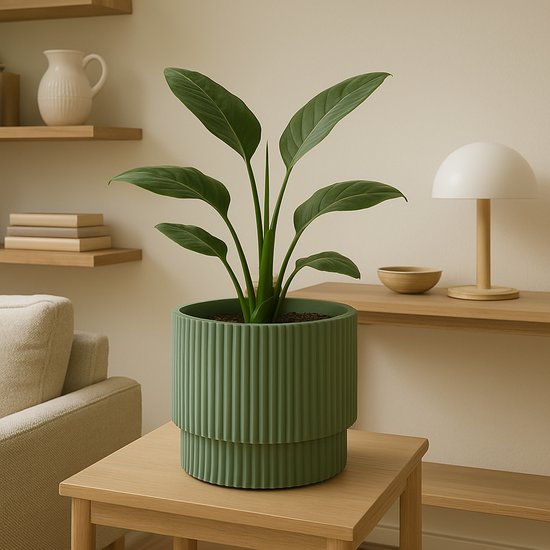 Pot Milly No Brand d30cm vert - Plastique