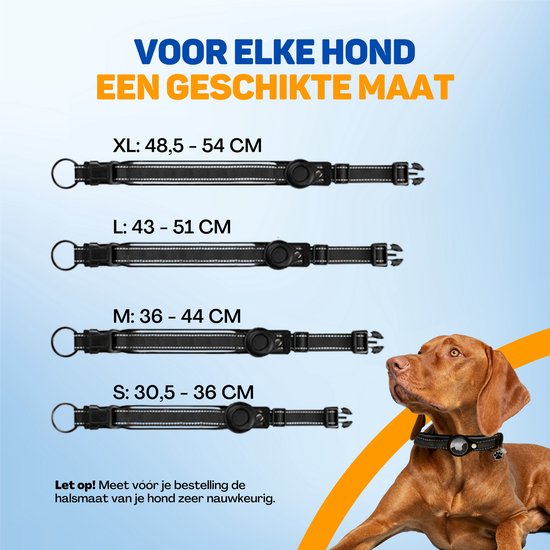 Vier zwarte hondenhalsbanden in maten S, M, L en XL met reflecterende details en een gesp. Een hond draagt de XL-maat.