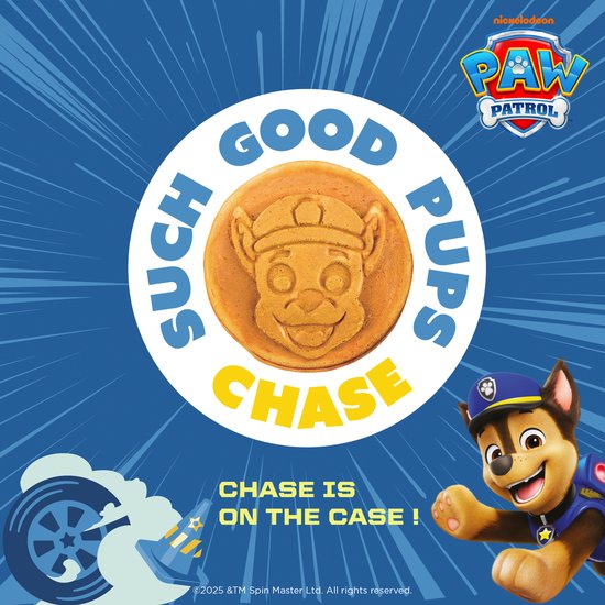 PAW Patrol - Hobbypakket - Stempel Set - Multicolor - Paw Patrol Speelgoed
