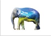 DesignClaud Olifant - Waterverf stijl poster B2 poster (50x70cm)