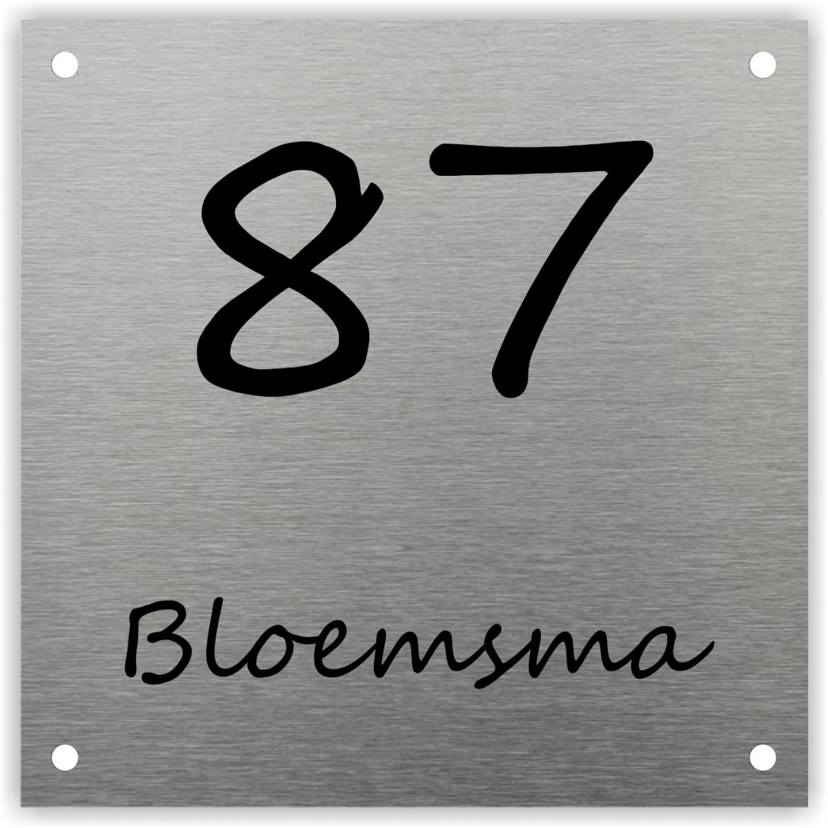 RVS naambordje voordeur 25x25cm RVSL17