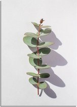 DesignClaud Eucalyptus blad tak abstract - Botanische poster A2 + fotolijst wit