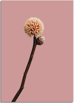DesignClaud Tak met knop bloem poster - Roze A4 poster (21x29,7cm)