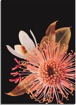 DesignClaud Australische bloemen poster - Bloemstillevens - Kleurrijk A4 + Fotolijst zwart