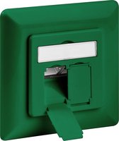 Goobay Netwerk wandcontact inbouwdoos - 2x RJ45 / CAT6 - groen
