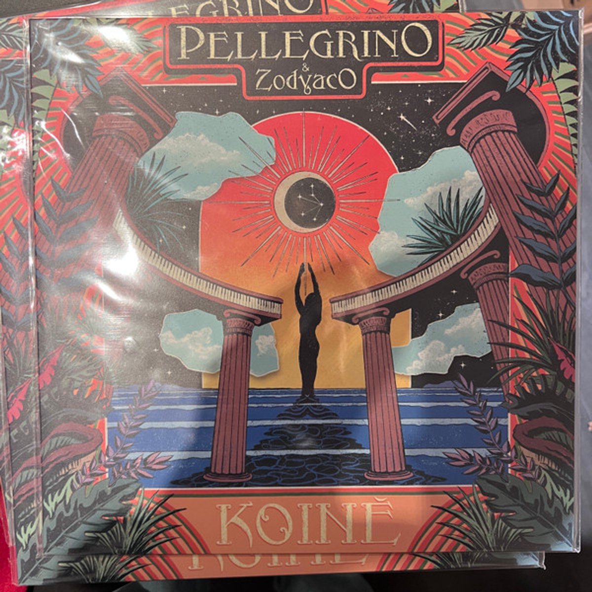 Pellegrino & Zodyaco – Koinè - LP