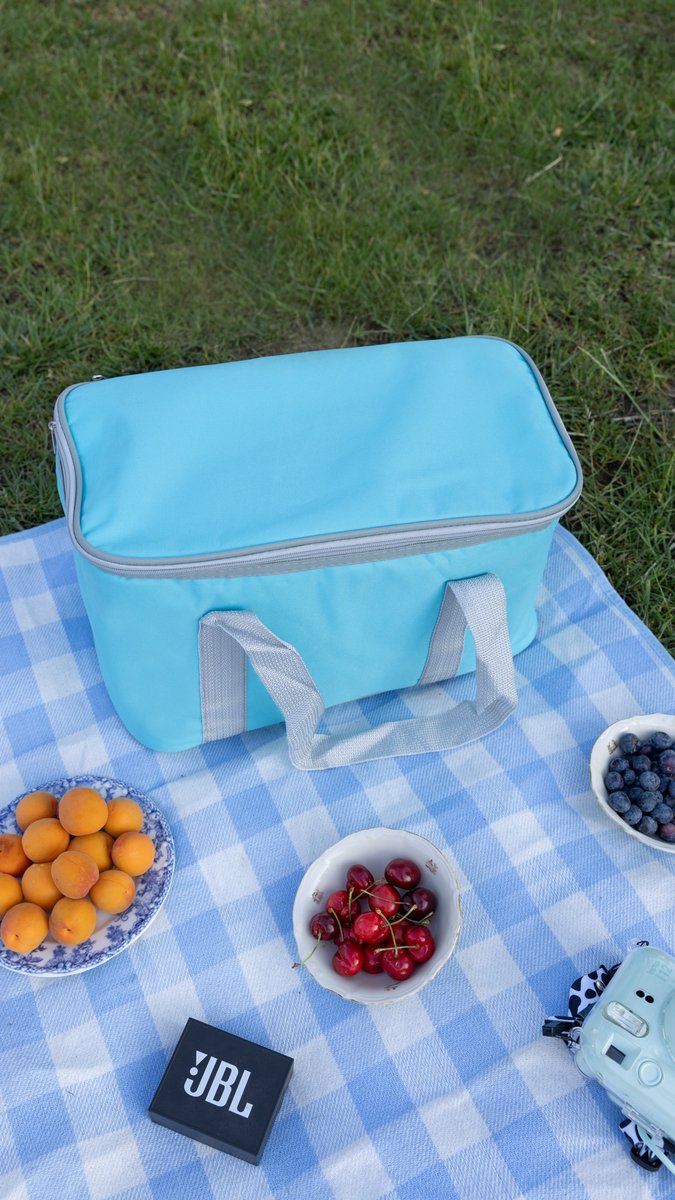 Geïsoleerde Koeltas| Lunchtas| Thermotas| 20 Liter| Picknicktas| Koeltas voor op reis met draagband| Turkoois