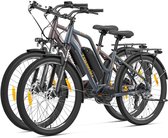 Fietssets:Touroll MA2 Middenmotor Elektrische Fiets 250W Motor 25km/h Externe Batterij Europese Standaard Donkerbruin + Donkergrijs
