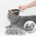Grijze kat wordt geborsteld met een witte stoomborstel. De borstel heeft zelfreinigende functie.