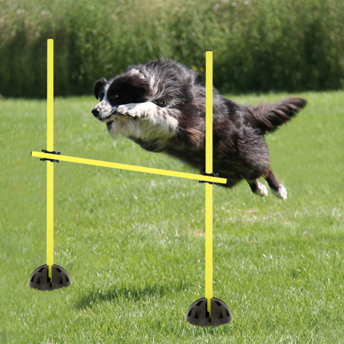 MC Star Agility-Hürde Hürdenset Hunde Training Set 4 Hürden Slalom Stangen Kunststoff, Weiß