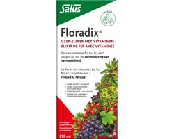 Floradix Salus IJzer-elixir – Bij vermoeidheid – Voedingssupplement met ijzer en vitamine B12 – 250 ml