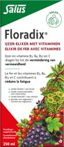 Salus Floradix Ijzer Elixer - Mineralen - Bij Vermoeidheid - Met vitamine V - Vloeibaar - 250 ml
