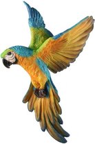 Hangende Gekleurde Papegaai Vogel
