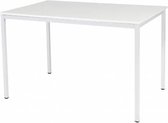 Bureautafel - Domino Basic 120x80 grijs - wit frame