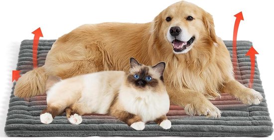 Photect 4 Selbstheizende Katzendecke Selbstheizende Decke für Haustiere Warme Selbstwärmende Waschbare Haustier Hunde Katzen Wärmedecke Abnehmbar rutschfeste Wärmematte(Grau Photect 4 Selbstheizende Katzendecke Selbstheizende Decke für Haustiere Warme Selbstwärmende Waschbare Haustier Hunde Katzen Wärmedecke Abnehmbar rutschfeste Wärmematte(Grau