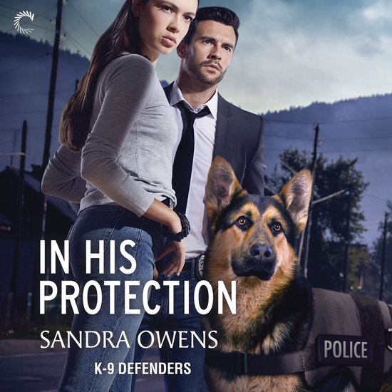 In His Protection - cover
