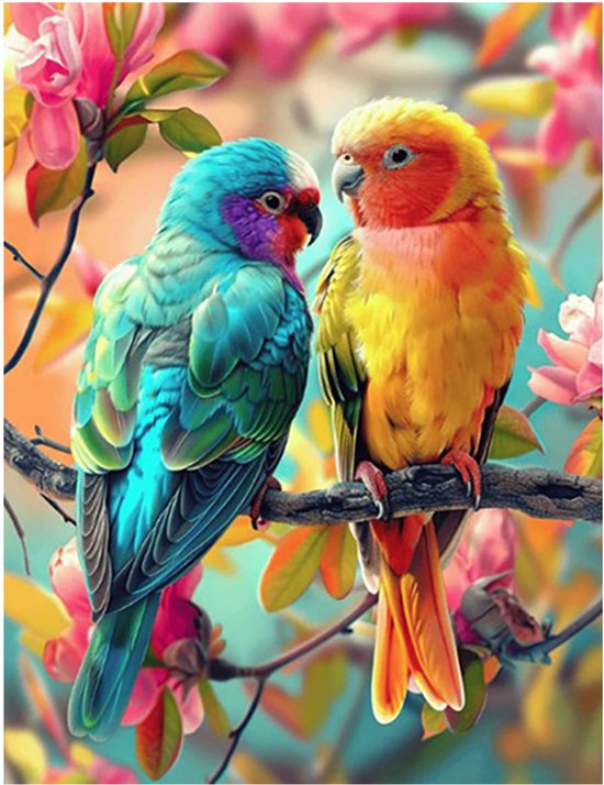 Foto: Rubye diamond painting diamond painting volwassenen diamond painting kinderen diamond painting pakket volledig papegaaien 30x40cm