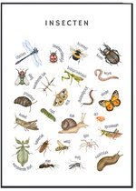 Affiche pédagogique No Filter - affiche insectes - 30x40 cm - format A3 - Affiches chambre enfant - affiche animaux