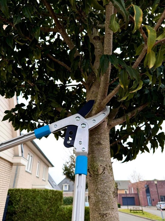 Sirocco - Professionele Telescopische Takkenschaar met aambeeld - Ø45mm - Verstelbare Snoeischaar met 5-traps Telescoop (69-103 cm) - ideaal voor Dikke Takken - Takkenschaar - Tuingereedschap van Sirocco — afbeelding 2