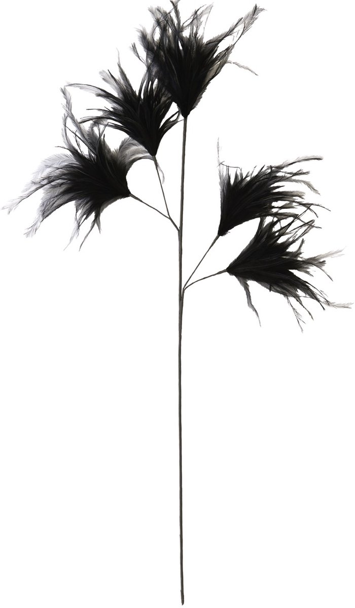 Ornament 5 veren 95 cm FEATHER zwart