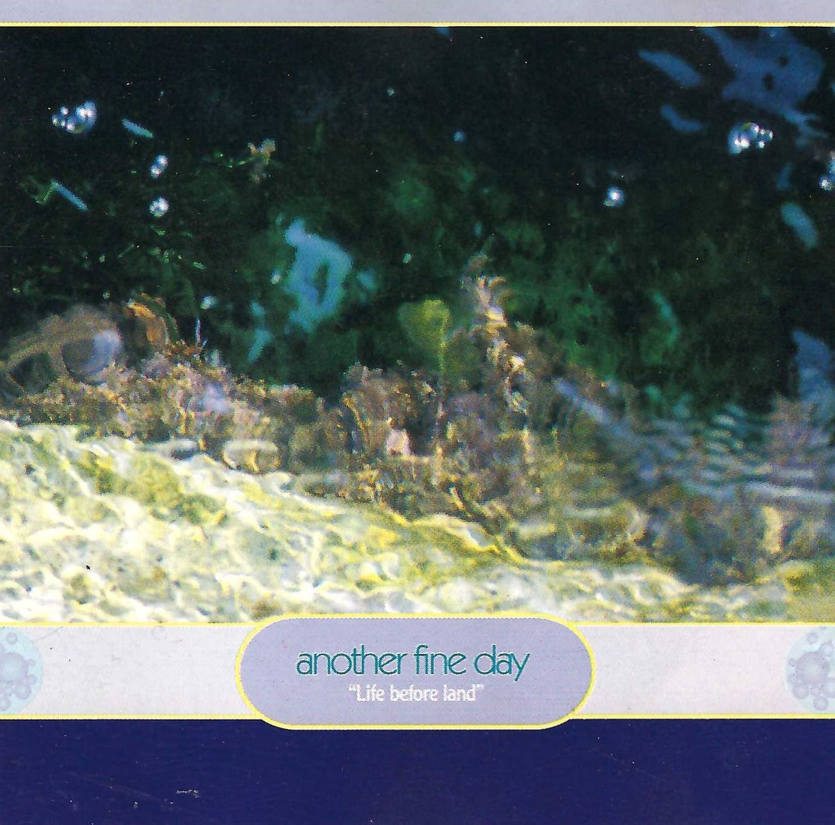 Another Fine Day – Life Before Land