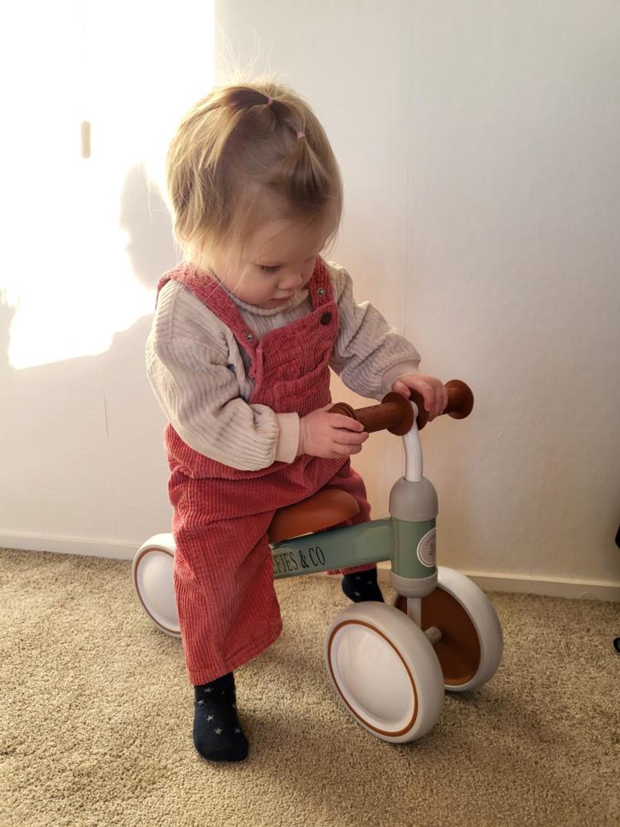 Liefjes & Co Loopfiets / Driewieler vanaf 1 Jaar Mint Groen — afbeelding 8