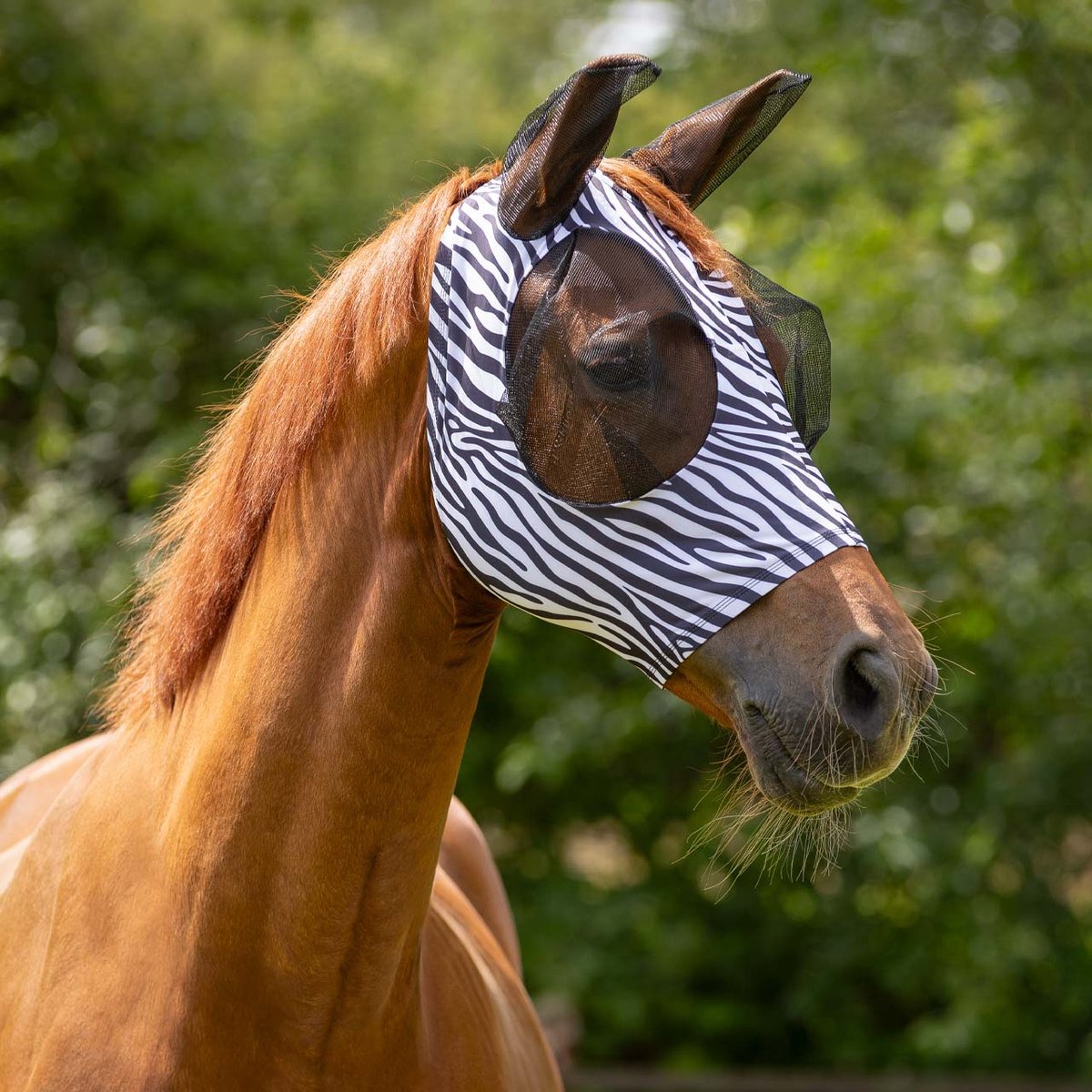 QHP - Vliegenkap Super bug - Zebra - Pony