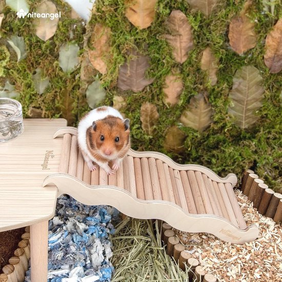 Outils D'entraînement En Plastique Tunnel Externe Jouets Multifonctionnels Accessoires De Cage à