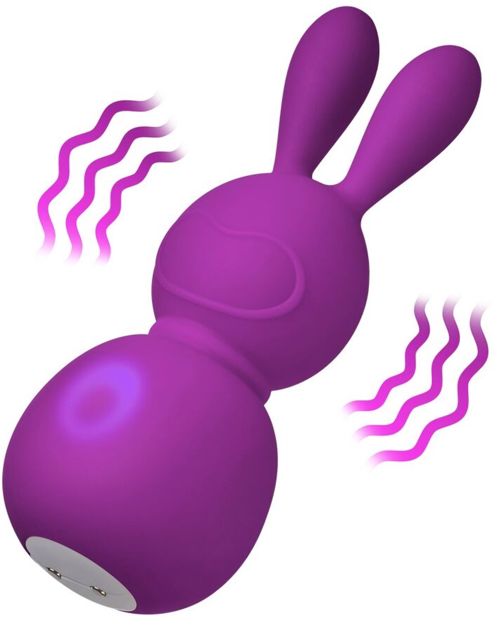 Mini Vibrator FemmeFunn Bunny Paars