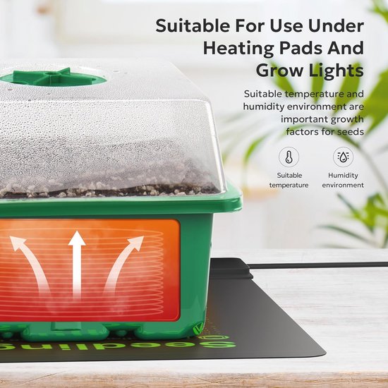 LANPEW Pack of 10 Grow Trays without Drainage Holes, 54 x 28 x 6 cm, Ideal for Sowing, Indoor Gardening, Micro Green, Wheat Herbs and More Soil or