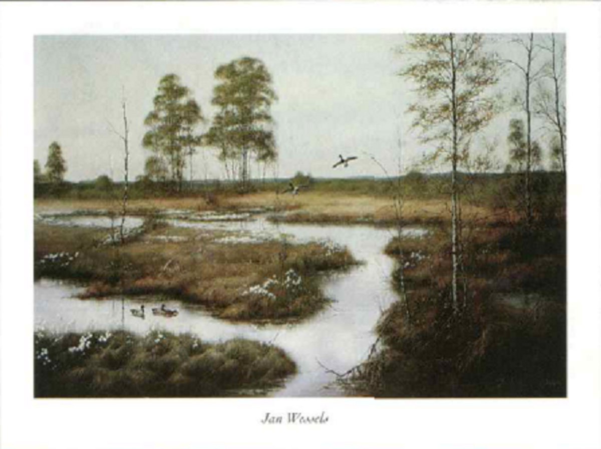 poster Verkerke Jan Wessels - Returning Mallards 80 x 60 cm