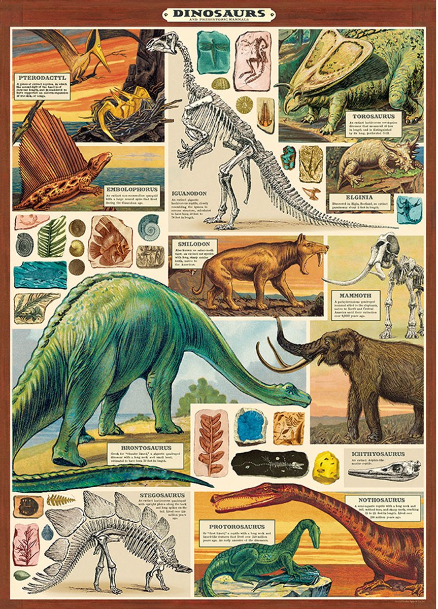 Cavallini & Co Poster Dinosaurus 2 - Cavallini & Co - Poster Dino - Schoolplaat Dinosaurussen Multi Color Dinosaurus