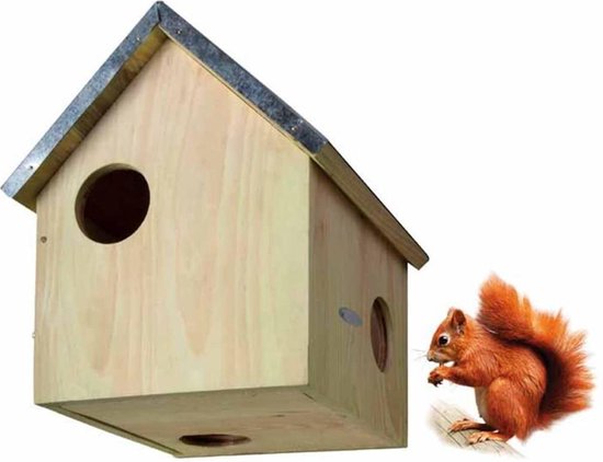 Maisonnette pour écureuil en bois avec toit en pente et entrées rondes, à côté d'un écureuil.