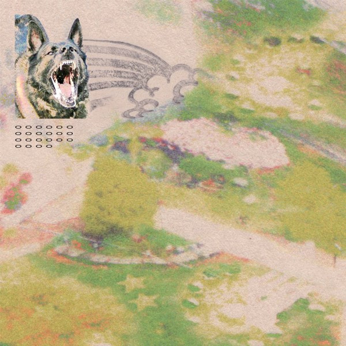 Feeble Little Horse - Girl With Fish (LP)