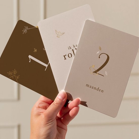 Mijlpaalkaarten Baby met Goudfolie – 20 Luxe (a6) kaarten voor eerste jaar – Unisex – Perfect als kraamcadeau - Bosdieren - Bruin en beige - Babyshower