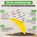 Gedetailleerde weergave van een gele, bloemvormige vliegenvanger, met pijlen en tekst die de vorm, de lijm, de kleur en de basis beschrijven.