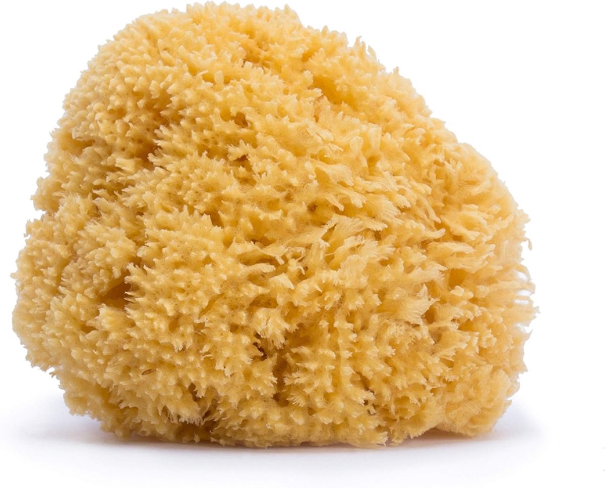 Natuurlijke Zeespons voor Baby's - Groot Formaat, 100% Natuurlijk
