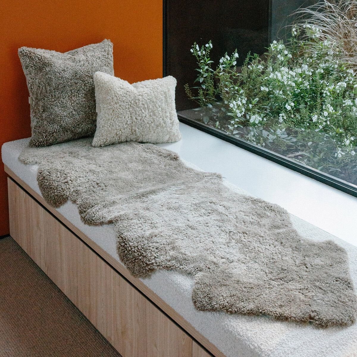 Sheepskin House â€“ Dubbele Nieuw-Zeelandse Schapenvacht - Curly Kortharig â€“ 170x60 cm