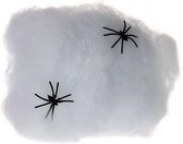 Spinnenweb met 6 Spinnen 20 gram
