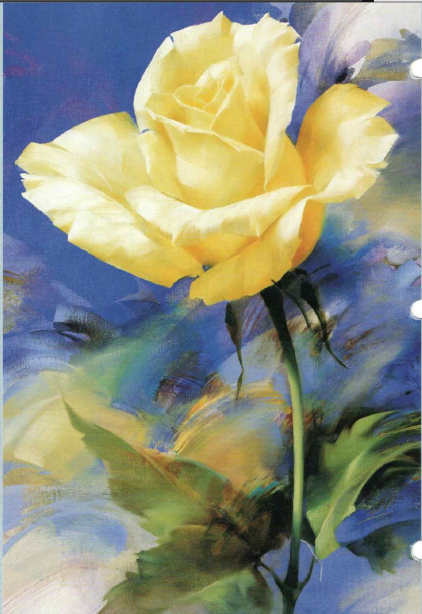 poster Verkerke Igor Levashov - Fragility 62 x 93 cm