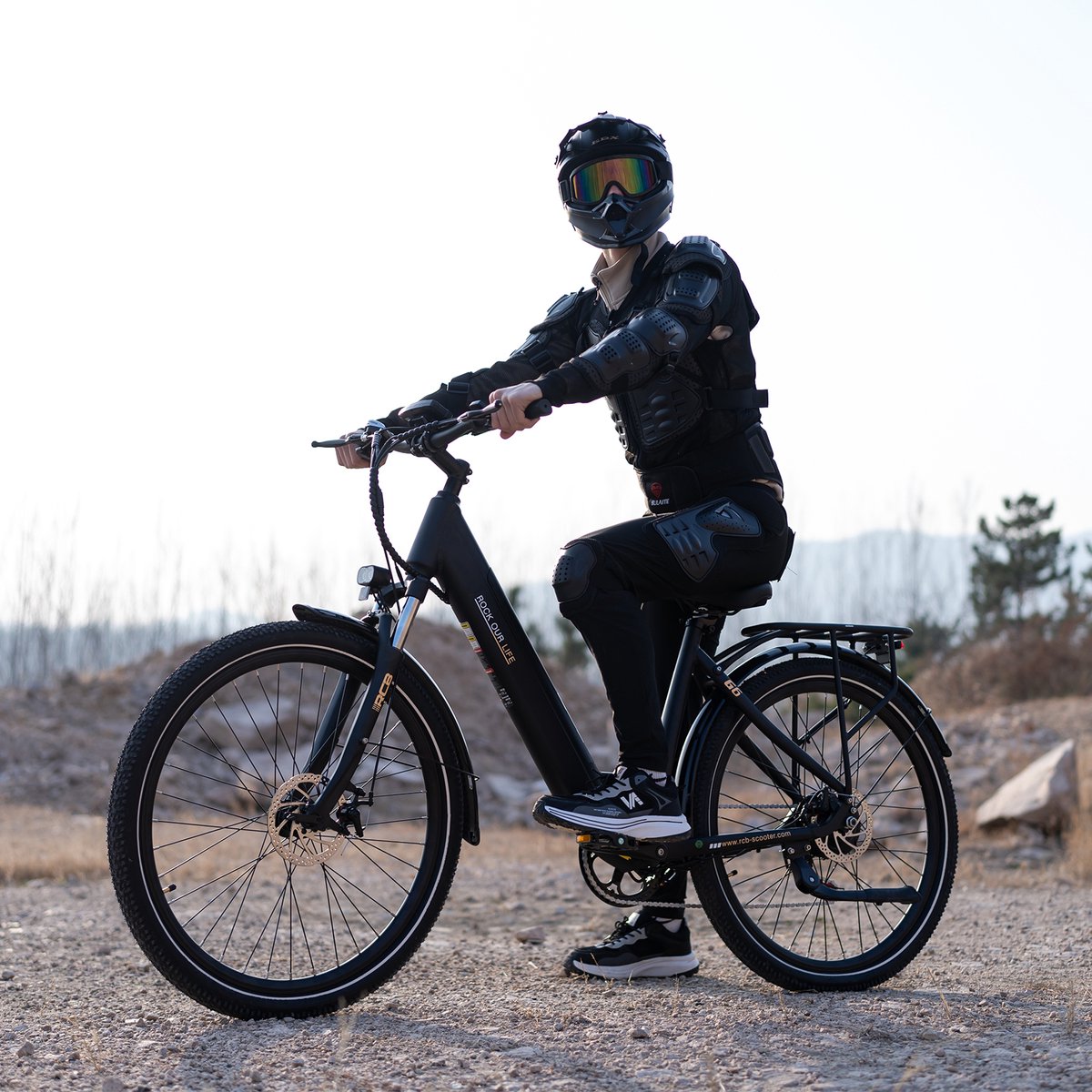 RCB G6 Elektrische Damesfiets 250W thumbnail 5