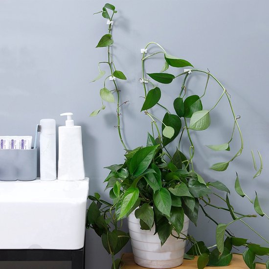 Transparante plantenclips bevestigen rankende groene planten aan een grijze muur, naast een witte wastafel met zeepdispenser.