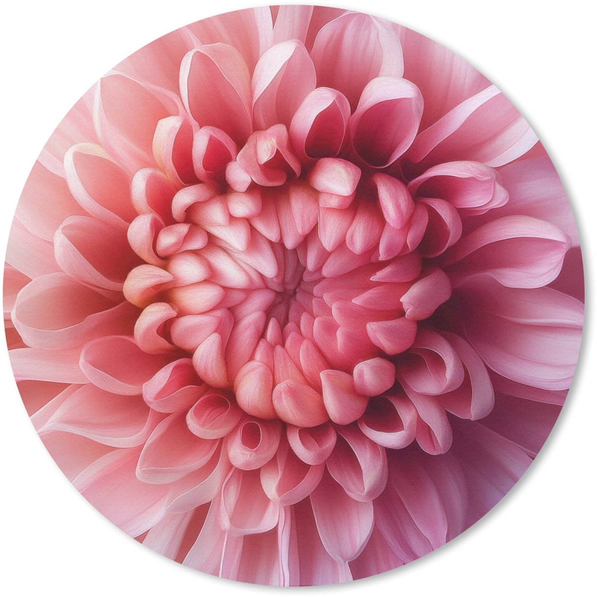 Muismat rond 30x30 cm - Mousepad Dahlia - Bloem - Close up - Roze - Ronde muismatten