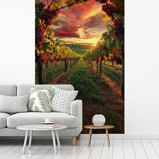 Behang - Fotobehang Wijngaard - Druiven - Zonsondergang - Breedte 200 cm x hoogte 300 cm