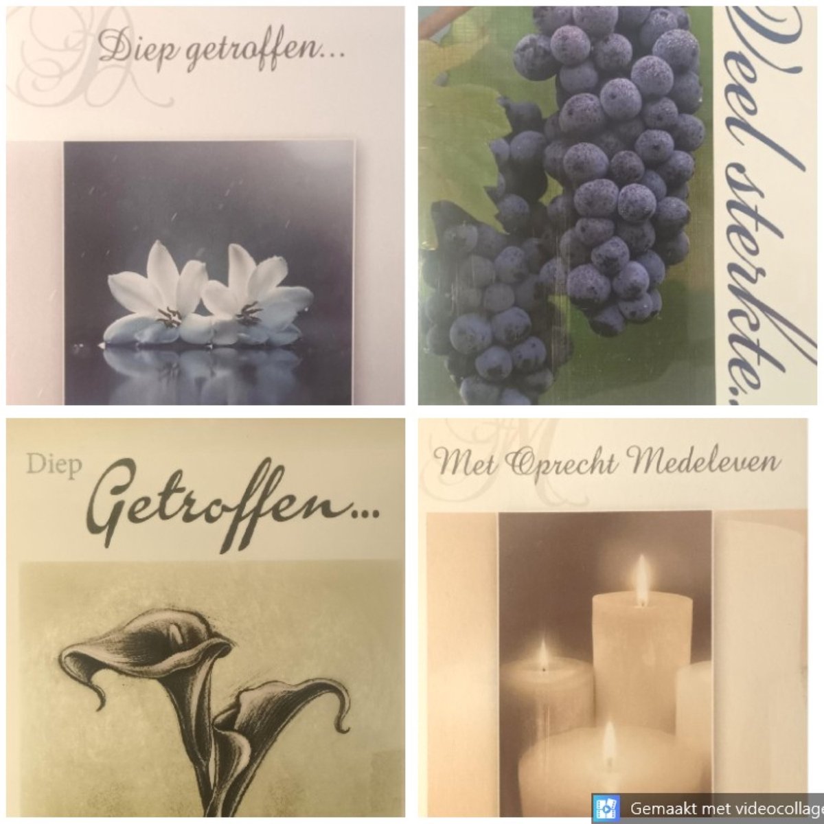 4 Luxe Deelneming Condoleance Wenskaarten - 4 Motieven - Oprechte Deelneming - Condoleance - Sterkte - Sterfgeval - Touche Cards - Met Envelop - 16.5x11.5cm - Beileid - Condolence