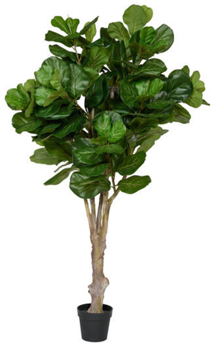 Pottery Pots Kunstplant - Ficus Lyrata XL - H180cm - Indoor - Green