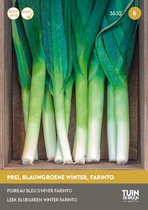 Tuin de Bruijn® zaden - Prei, blauwgroene winter, Farinto - speciaal ontwikkeld voor de late herfst en winterteelt