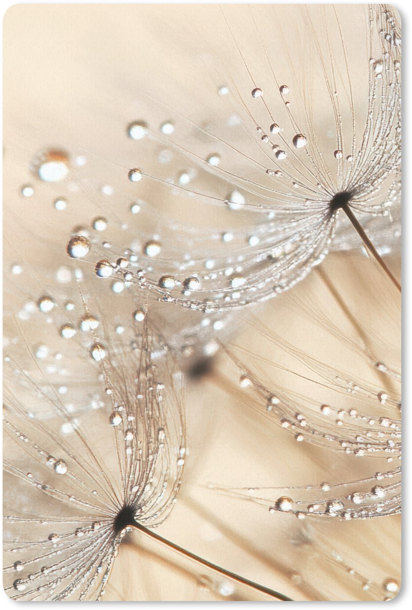 Muismat 18x27 cm - Mousepad Paardenbloem - Abstract - Natuur - Beige - Muismatten